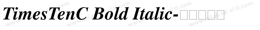 TimesTenC Bold Italic字体转换
